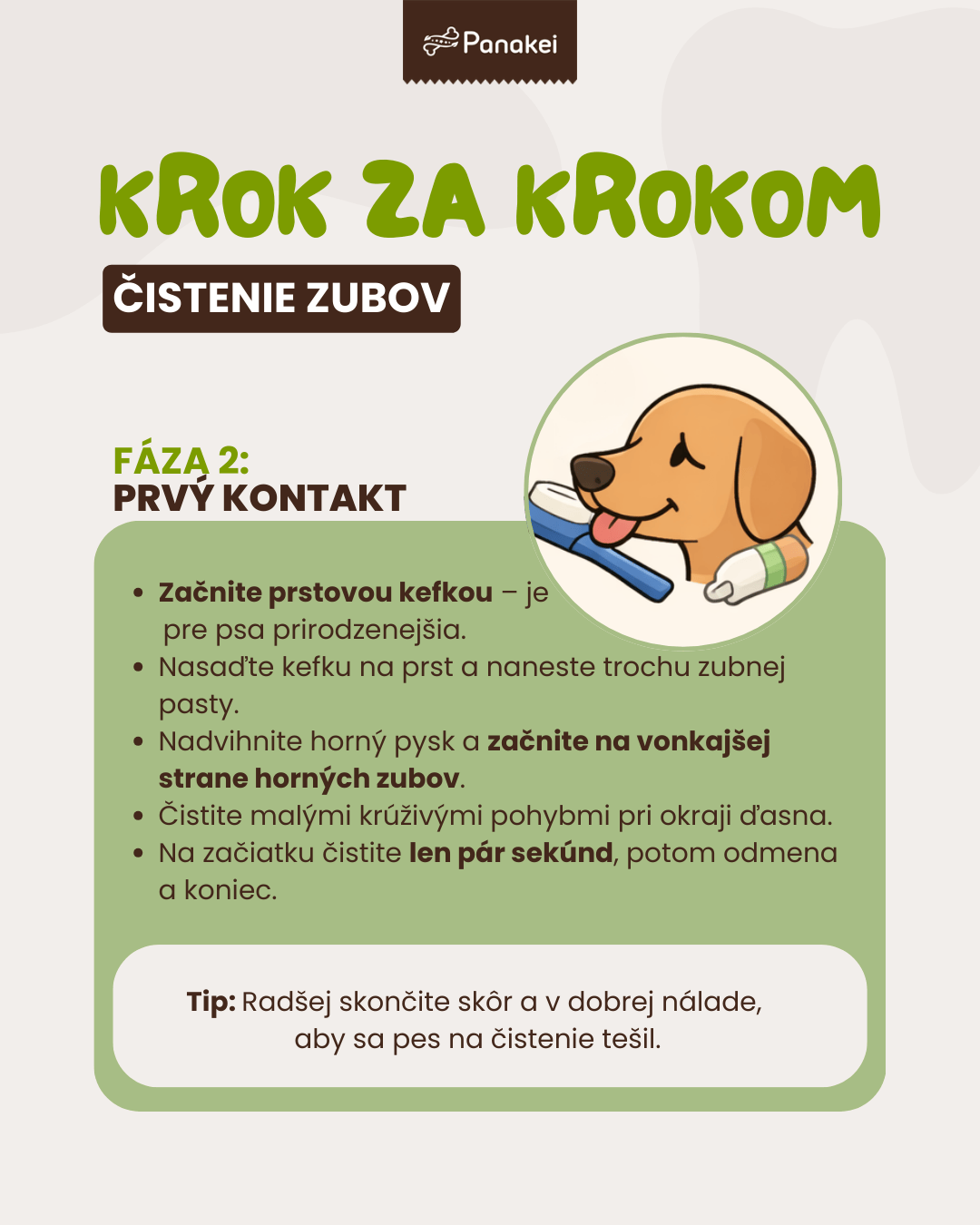 Ako psovi umyť zuby – druhá časť