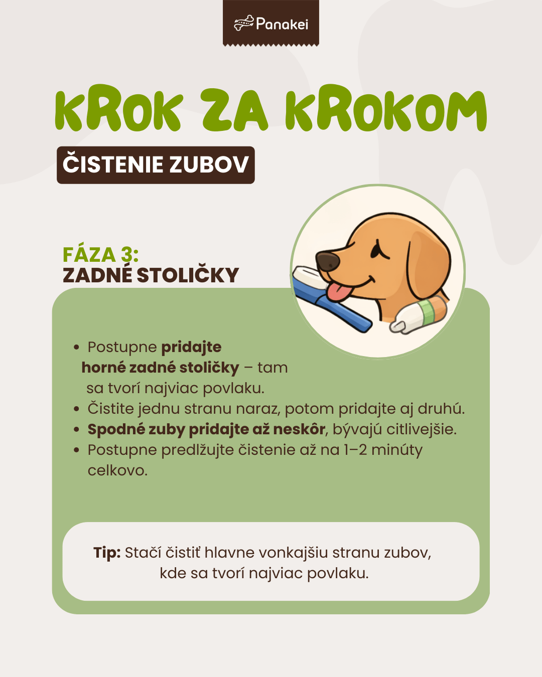 Ako psovi umyť zuby – tretia časť