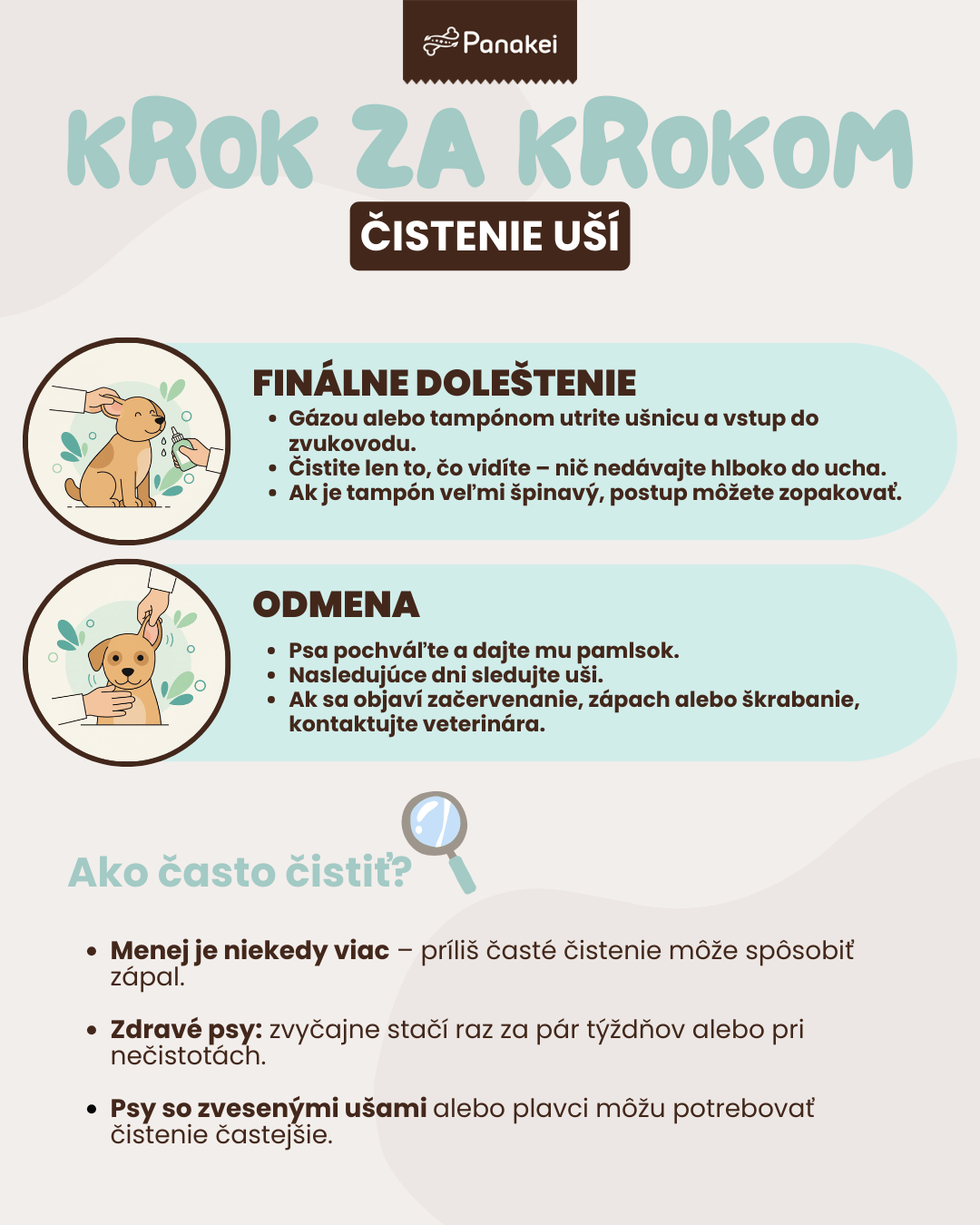 Ako vyčistiť psovi uši? Krok za krokom