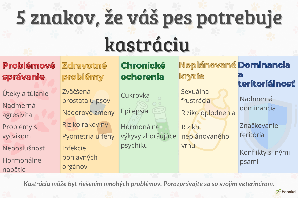 5-znakov-kastrácia-psa-panakei