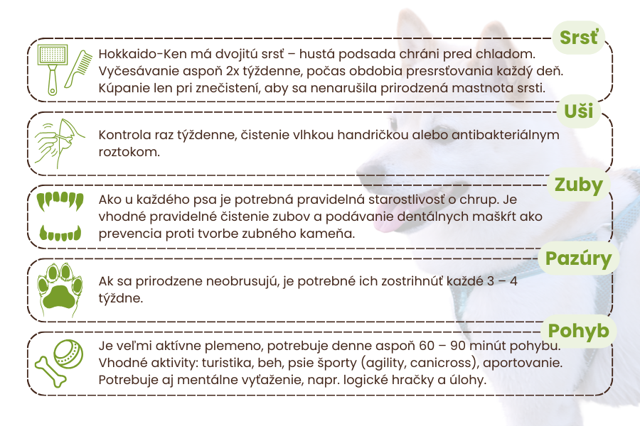 starostlivosť-o-plemeno-hokkaido-ken-panakei