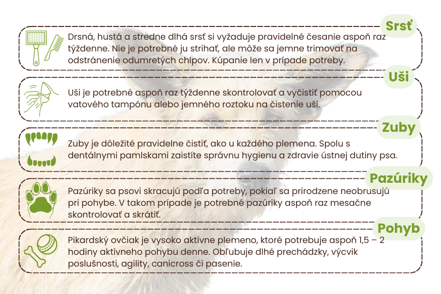 berger-picard-starostlivosť-o-psa-panakei