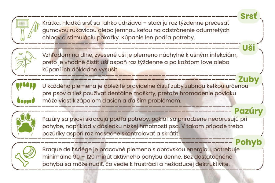 starostlivosť-o-psa-panakei