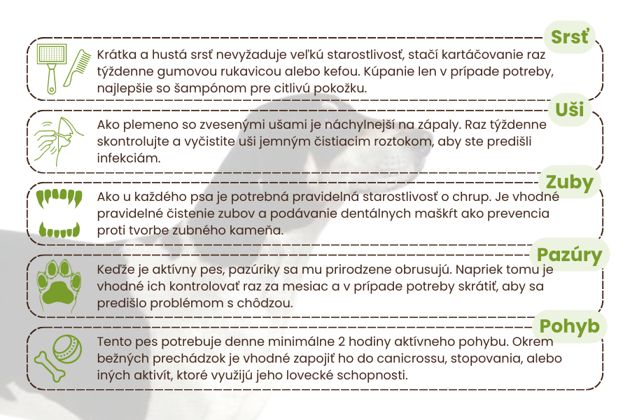 starostlivosť-o-plemeno-francúzsky-čiernobiely-durič-panakei