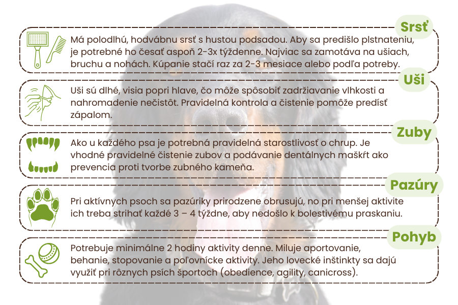 starostlivosť-o-gordonského-setra-panakei