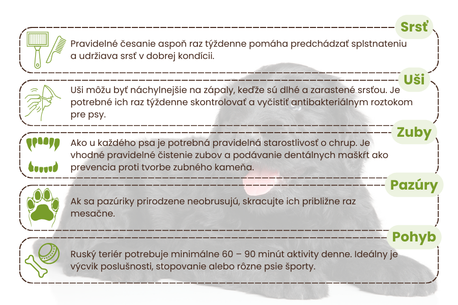 starostlivosť-o-plemeno-čierny-ruský-teriér-panakei