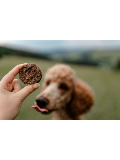 hovadzi hamburger pre psa panakei