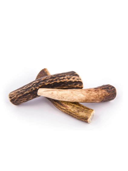 Prírodné jelenie parožie pre psov na kúsanie