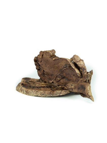 pluca (1)