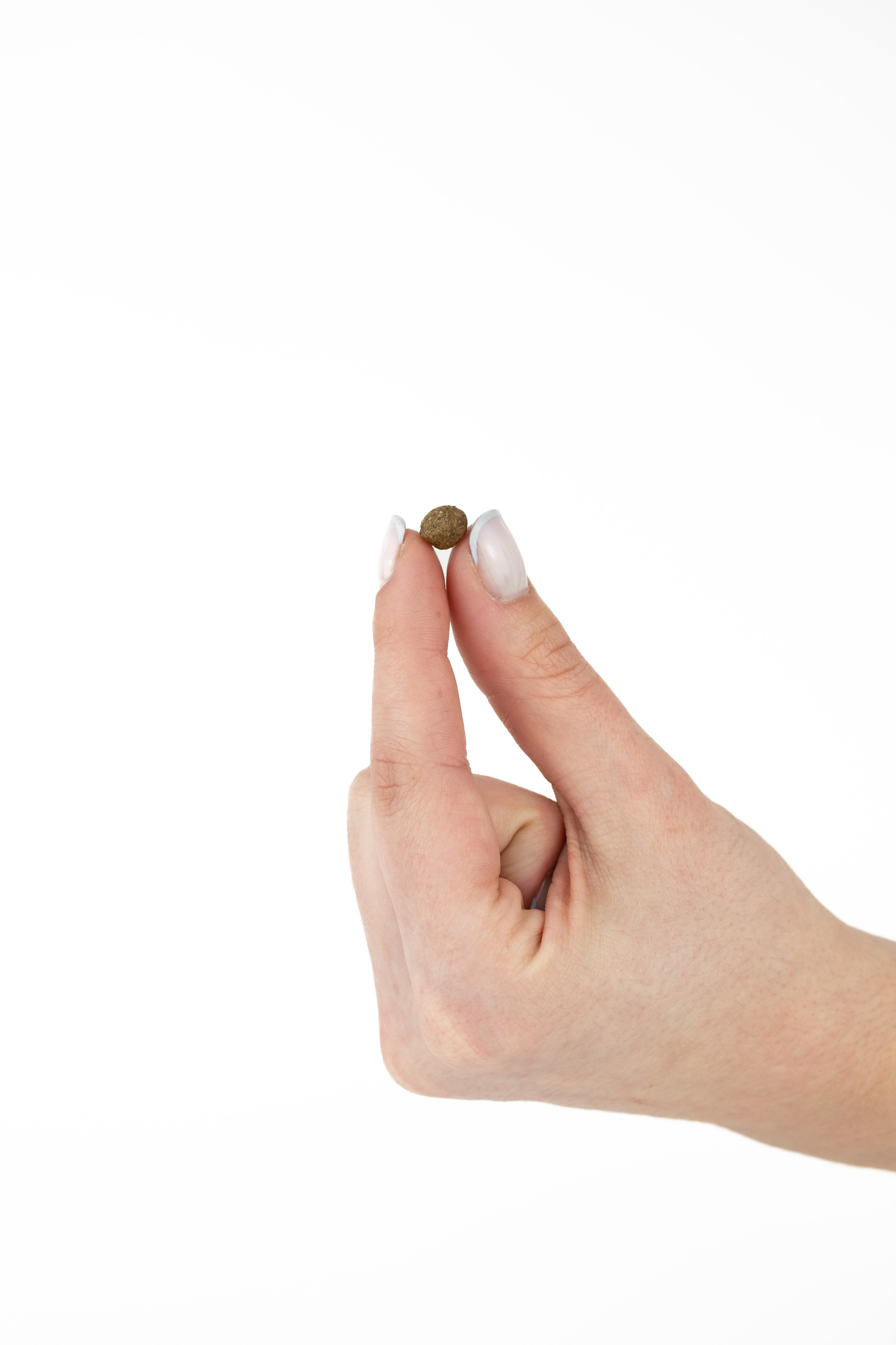 Hypoalergénne (SENSITIVE) granule pre psov - Jeleň ✅ 3kg