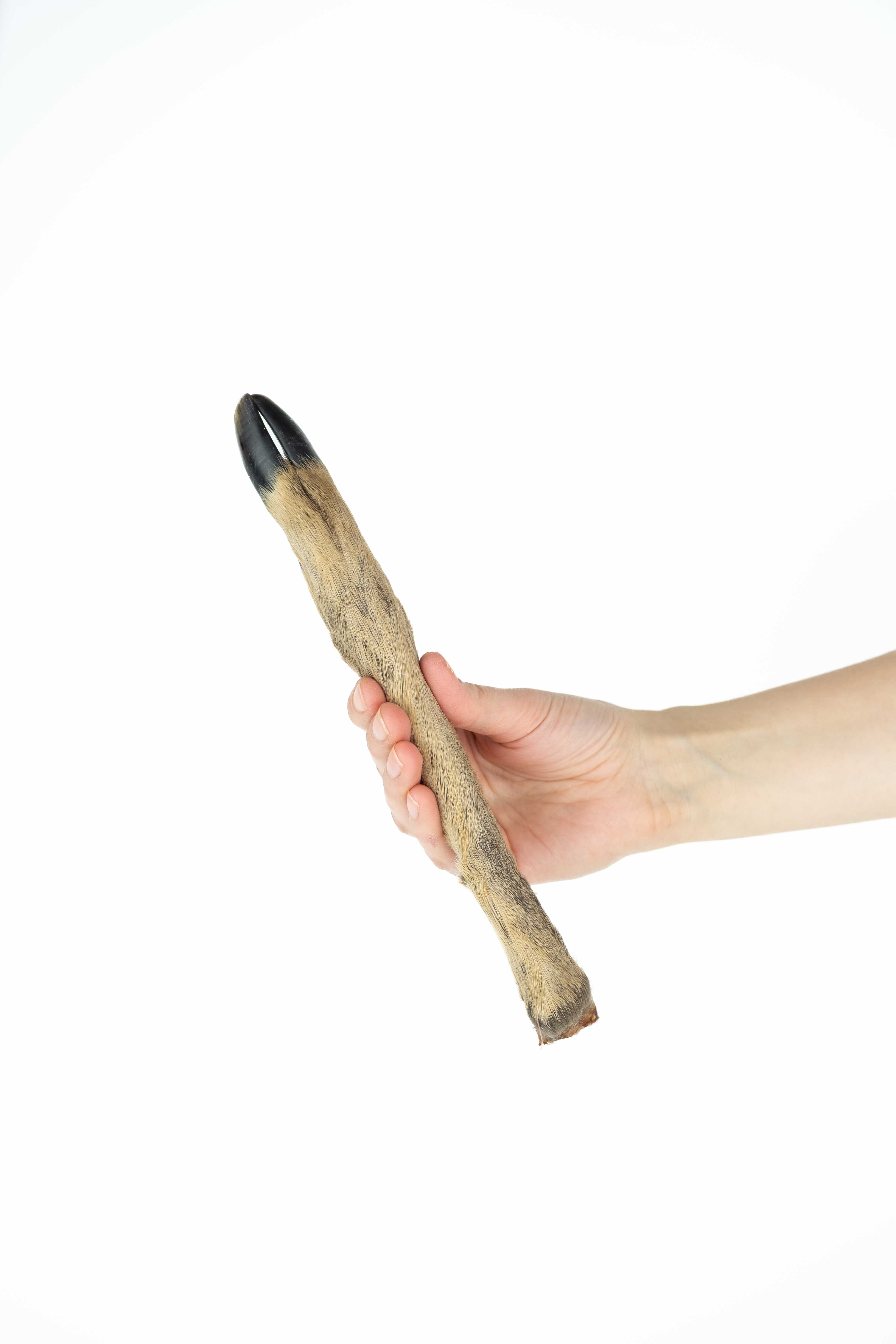 Panakei - Pamlsky pre psov - Sušené srnčie nohy (2ks)