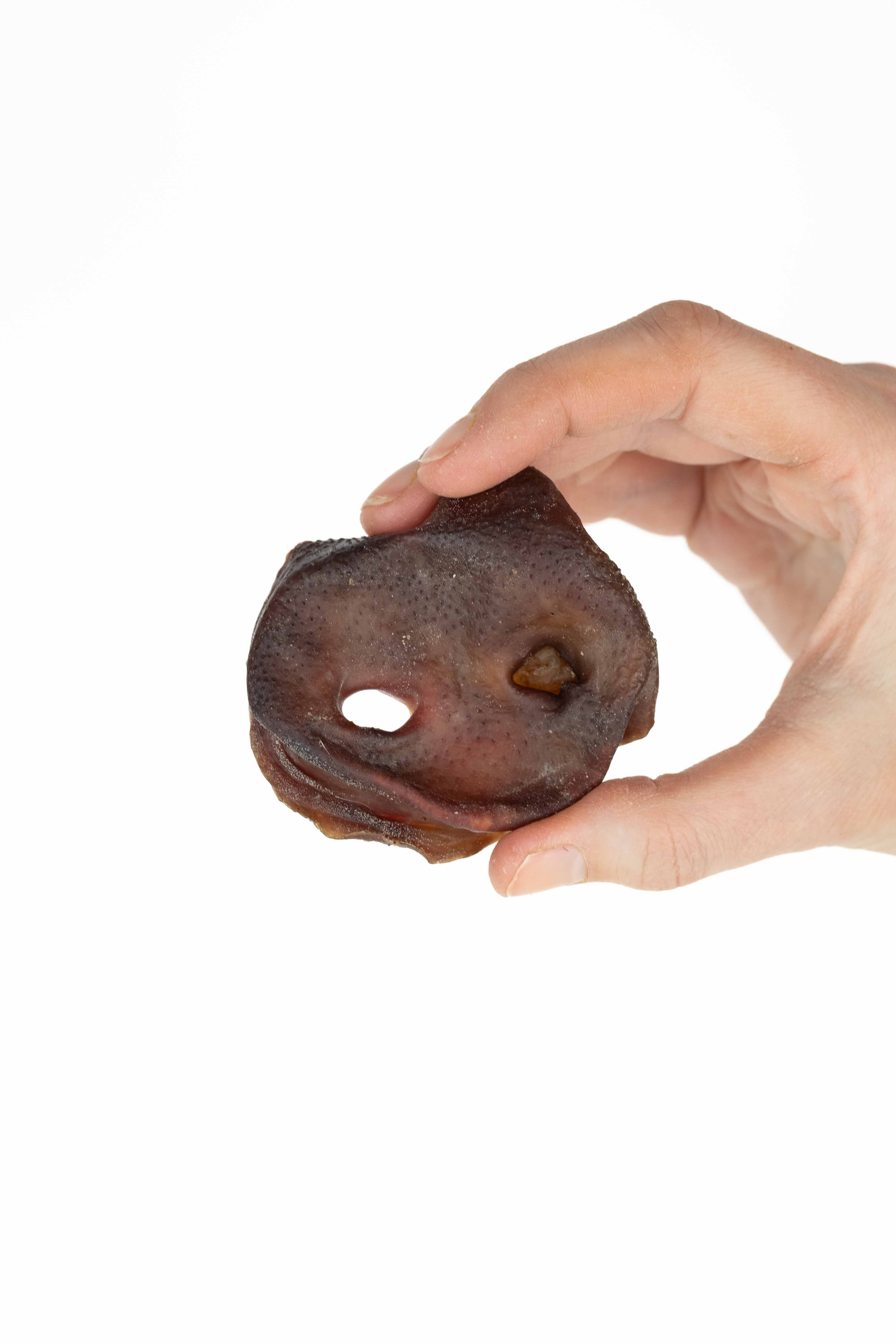 Panakei - Pamlsky pre psov - Sušené bravčové rypáky