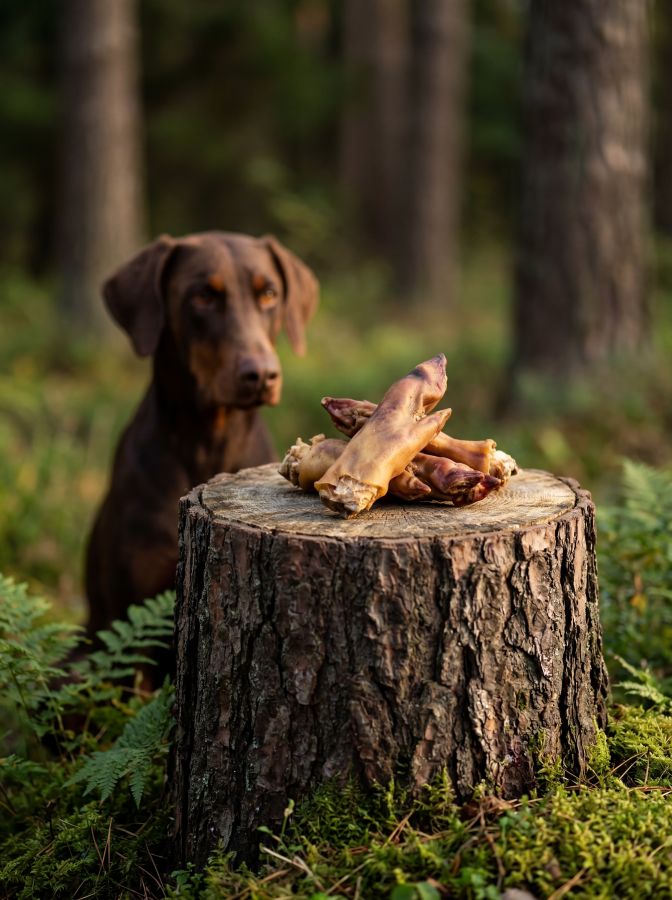 Panakei - Sušené bravčové nožičky ( rezané polovičky )