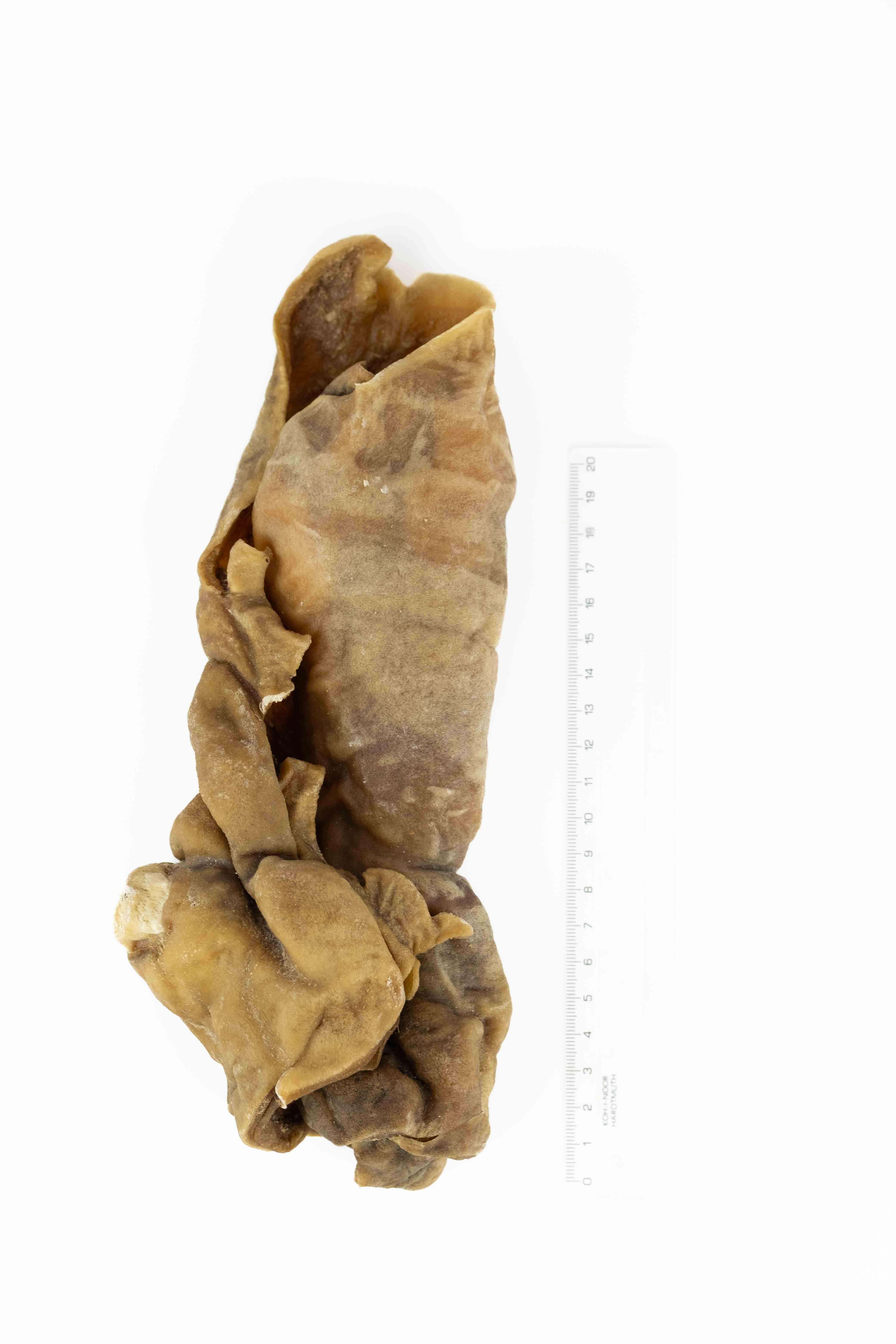 Panakei - Pamlsky - Sušené hovädzie koleno (koža) 1ks Balenie: Stredný