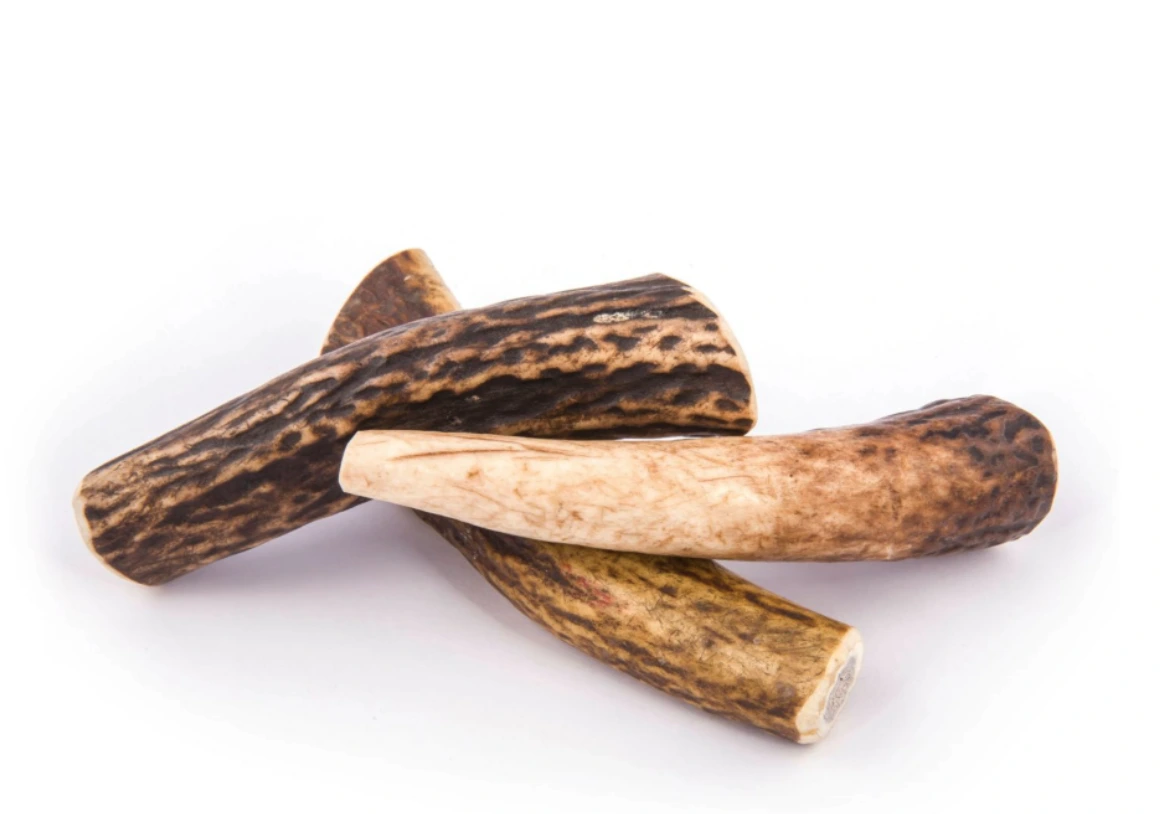 Parohy pre psov na hryzenie ✅ Jeleň & Daniel | Panakei.sk Balenie: Extra veľký