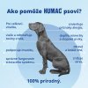 Infografika „Ako pomôže HUMAC psovi?“ s prehľadom hlavných účinkov doplnku