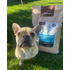 Granule pre dospelých psov (XS-S) - Hovädzie + Morčacie 4kg