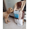 Granule pre dospelých psov (XS-S) - Hovädzie + Morčacie 4kg