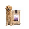 Zlatý retriever a za studena lisované krmivo pre psov s citlivým trávením
