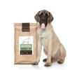 Anglický mastif pri krmive Panakei Sensitive Grain-Free