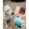 Granule pre dospelých psov (M) - Hovädzie + Morčacie 9kg
