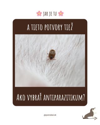 Jar je späť! 🌸 A s ňou aj kliešte. A na vás budú z každej strany skákať reklamy na antiparazitiká. Lenže aké vybrať? 🤔...
