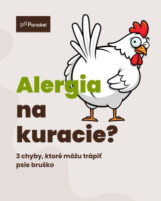 Alergia na kuracie? Áno, ale pointa môže byť širšia 🐔 Kuracie je v krmivách najčastejším proteínom, preto naň vidíme...