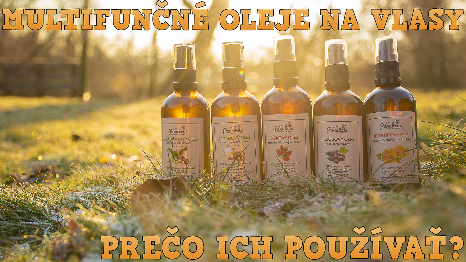 Multifunkční oleje na vlasy: proč je používat?