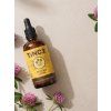 TINKTURA - Jetel luční 100 ml – bylina