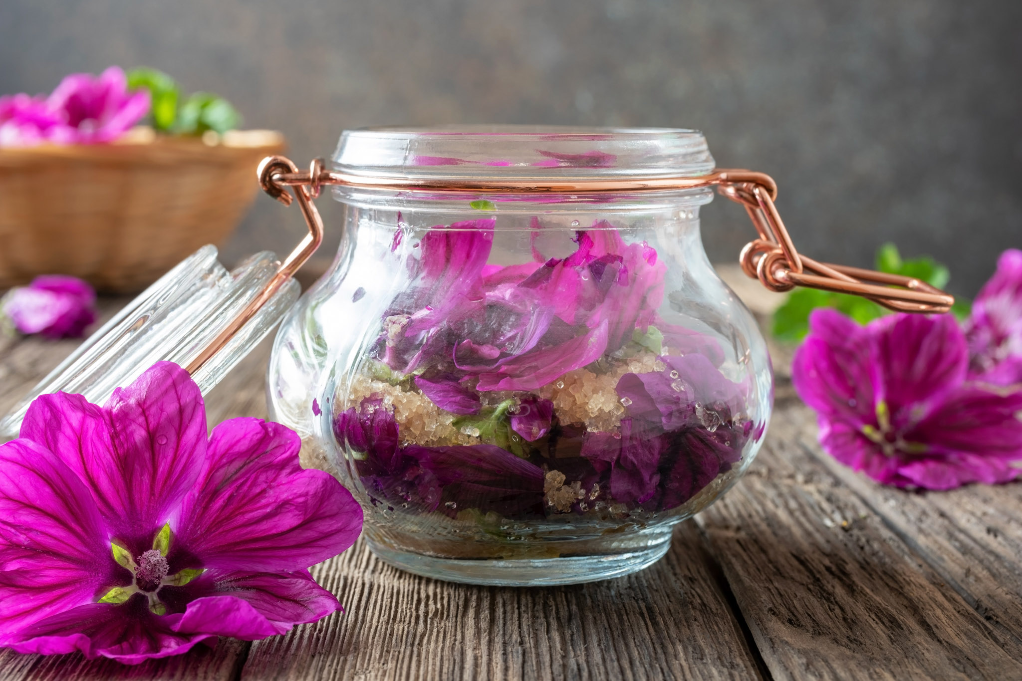 malva-efecte-si-utilizari-ale-acestei-plante-1