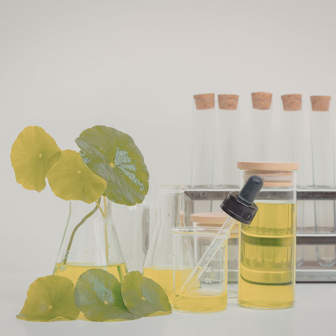 Prečo sú extrakty kľúčom k funkčnej kozmetike?