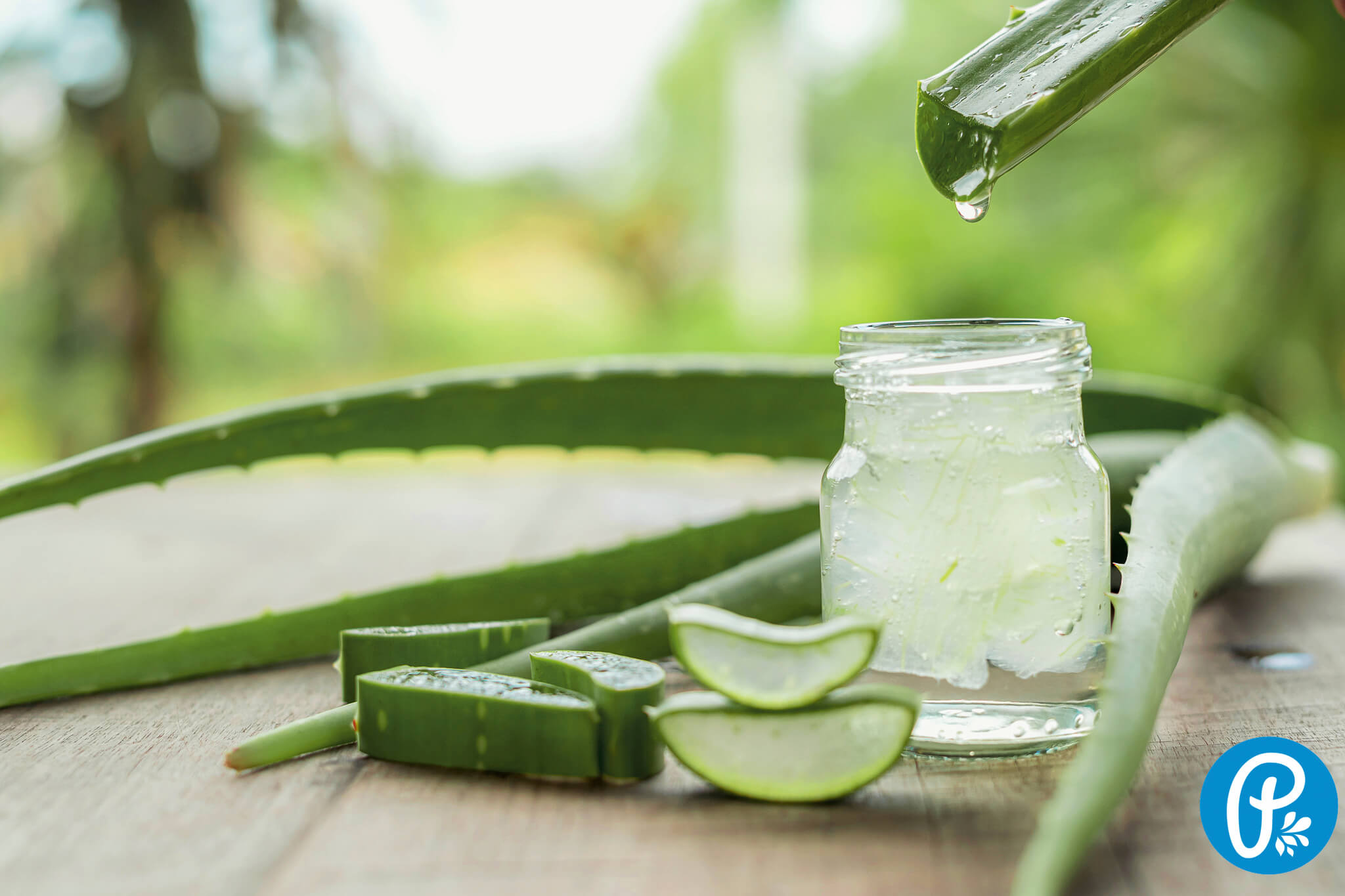 Zažite účinky Aloe vera v prírodnej kozmetike