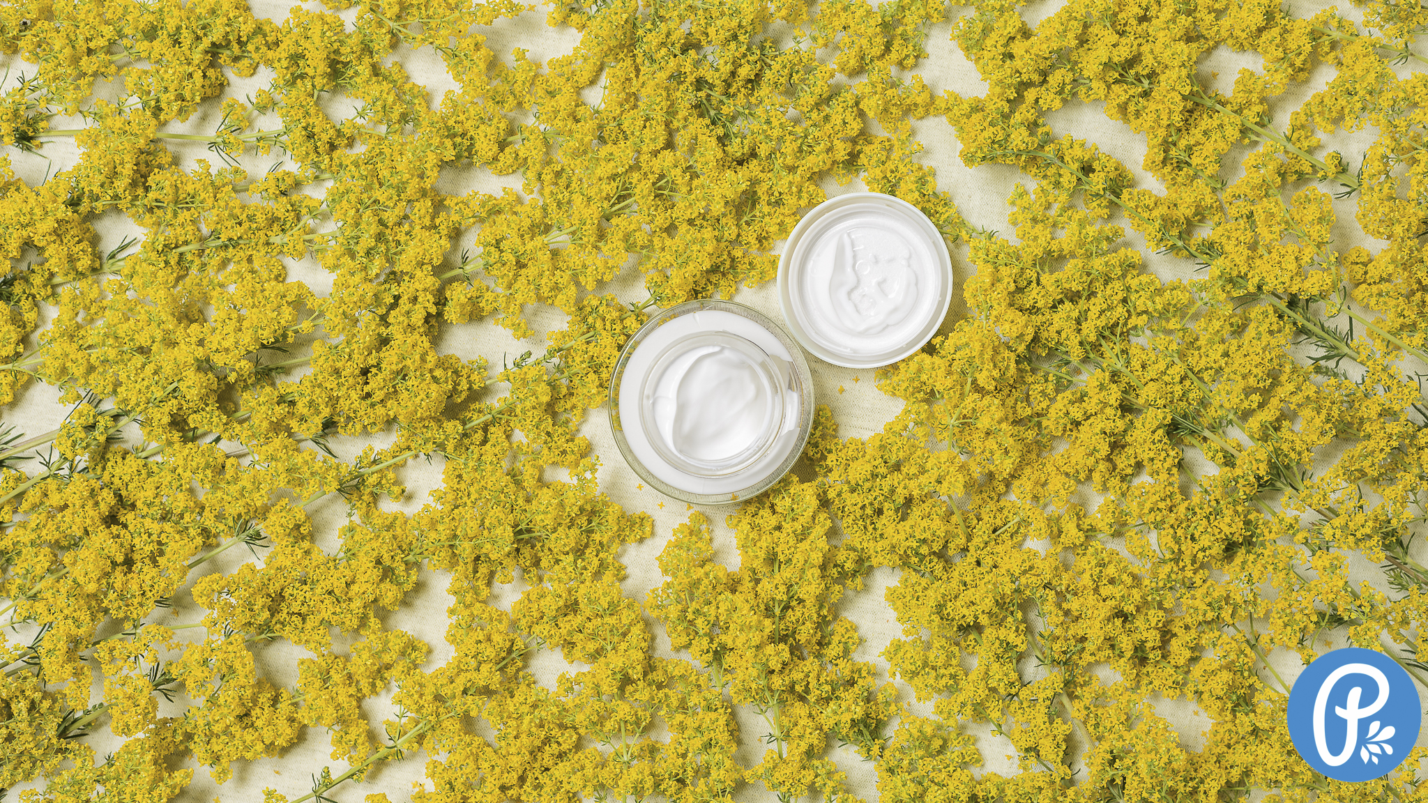 Lipkavec, poznáte ho?