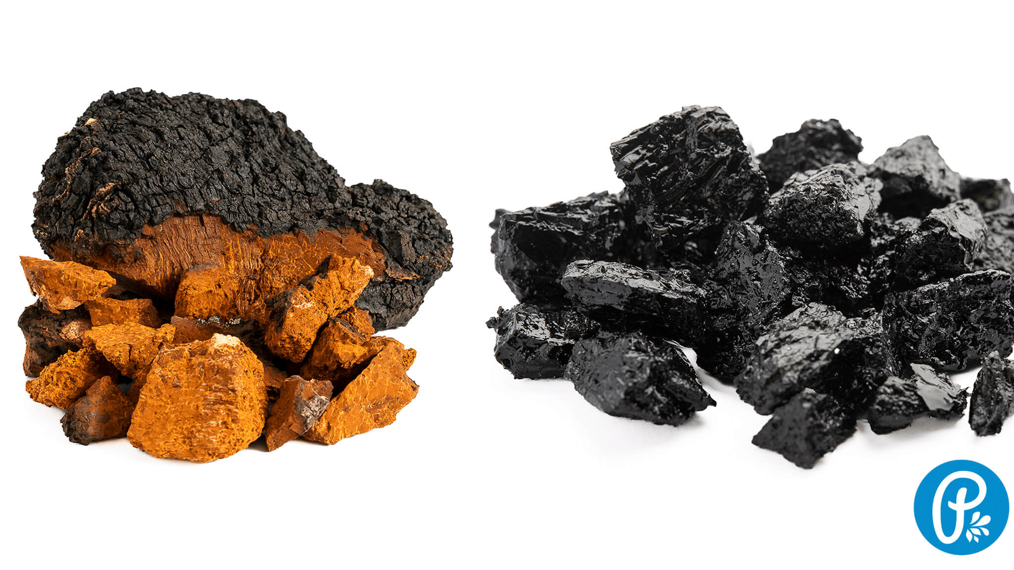 Čaga vs. Múmio: Čo je lepšie na posilnenie imunity?