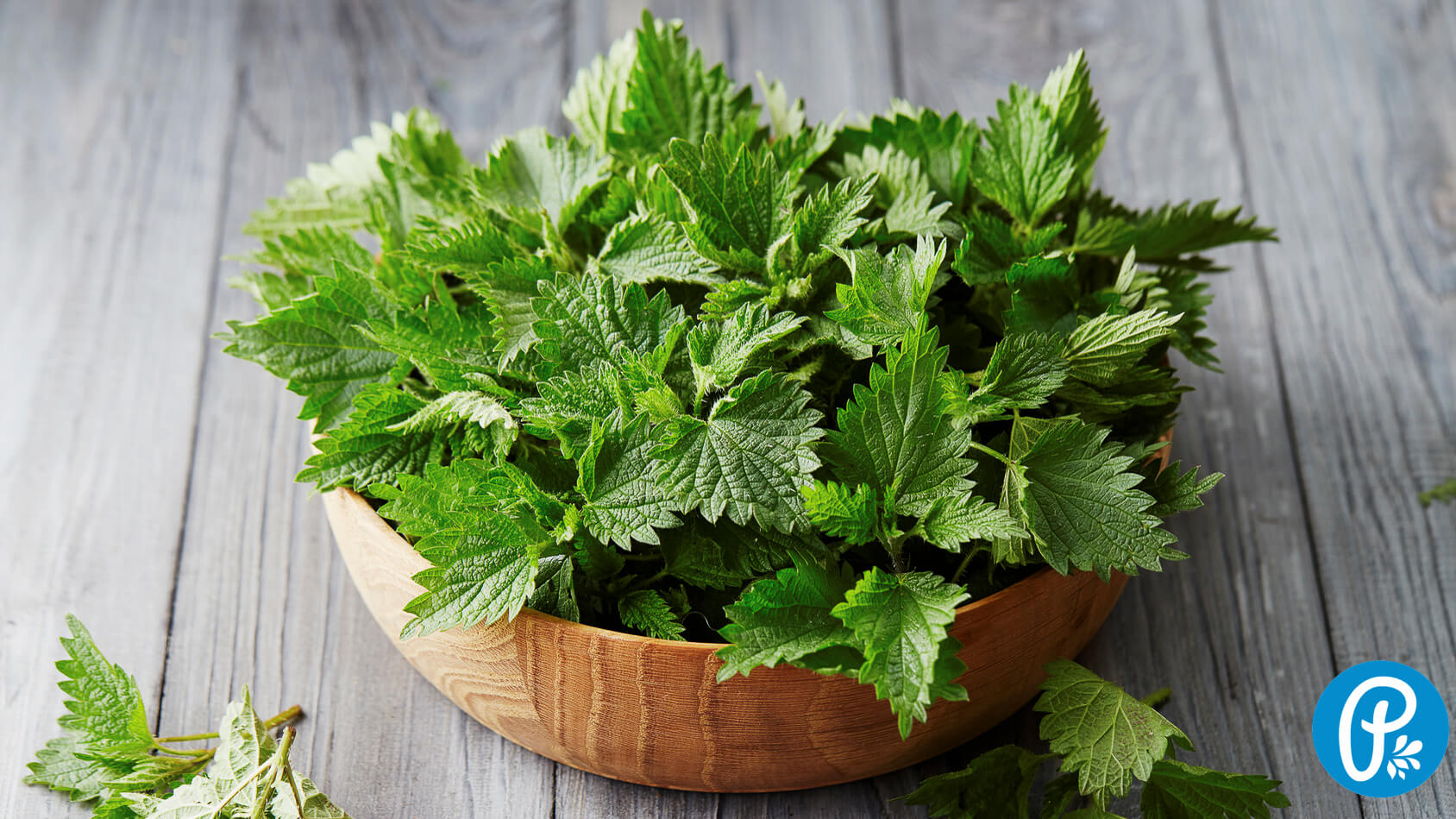 Žihľava - zázrak, ktorý vám prečistí krv aj telo.