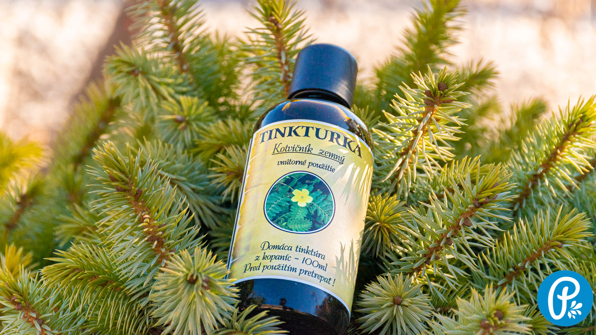 Kotvičník tinktúra - oplatí sa ju používať?