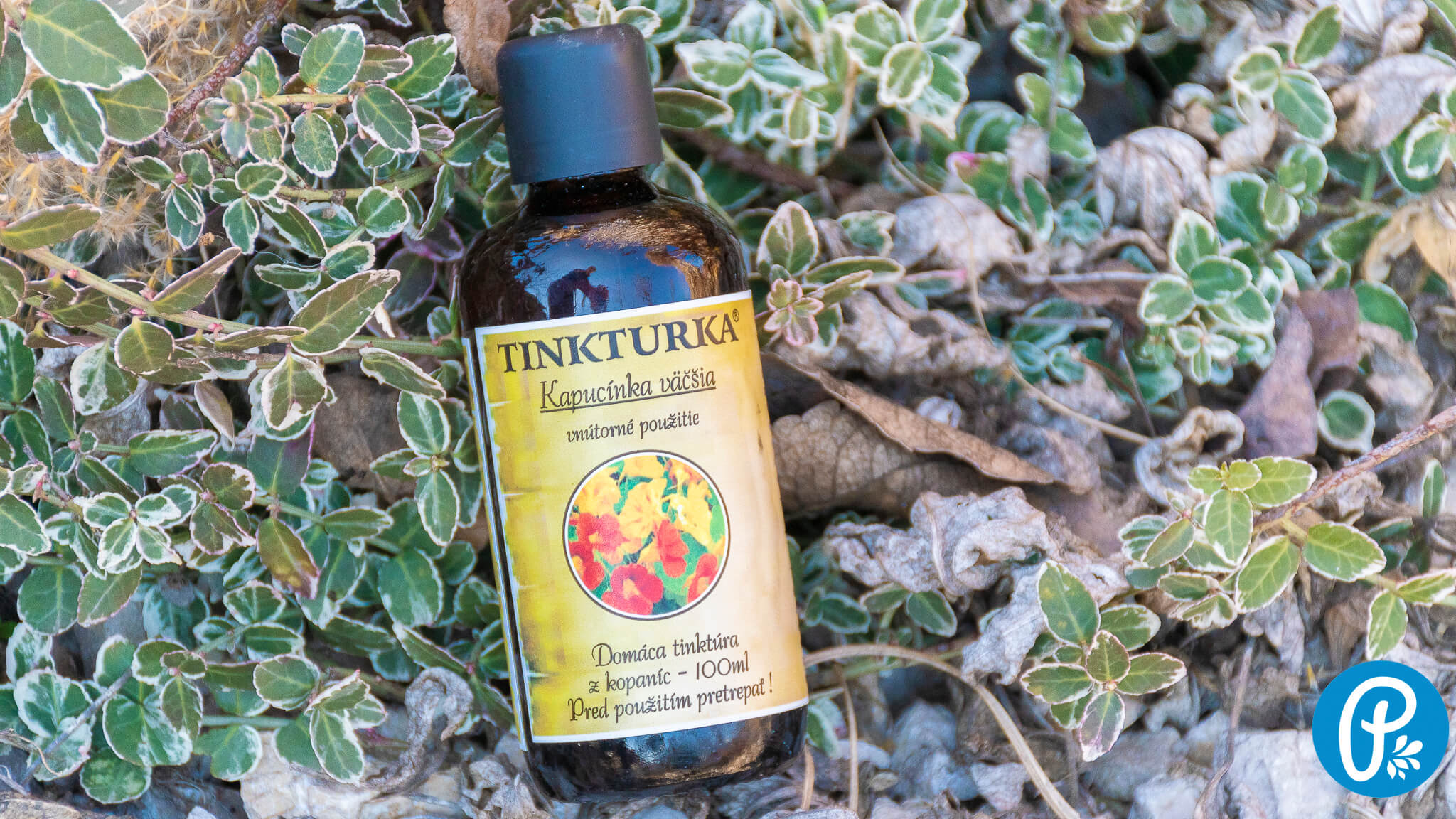 Tinktúra z kapucínky - aké sú jej účinky?