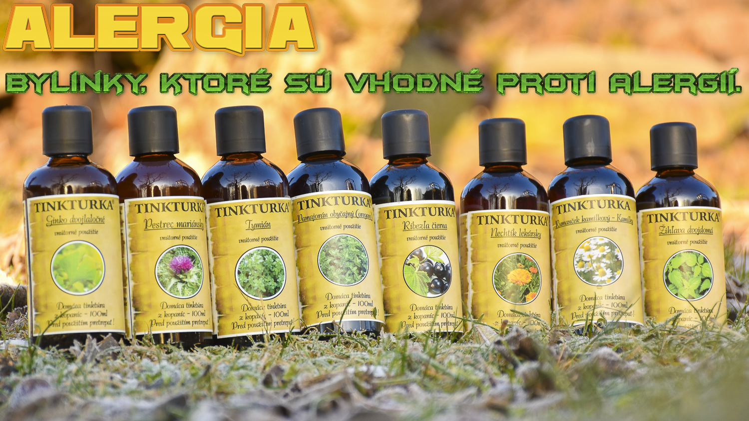 Alergia - bylinky, ktoré sú vhodné proti alergií.