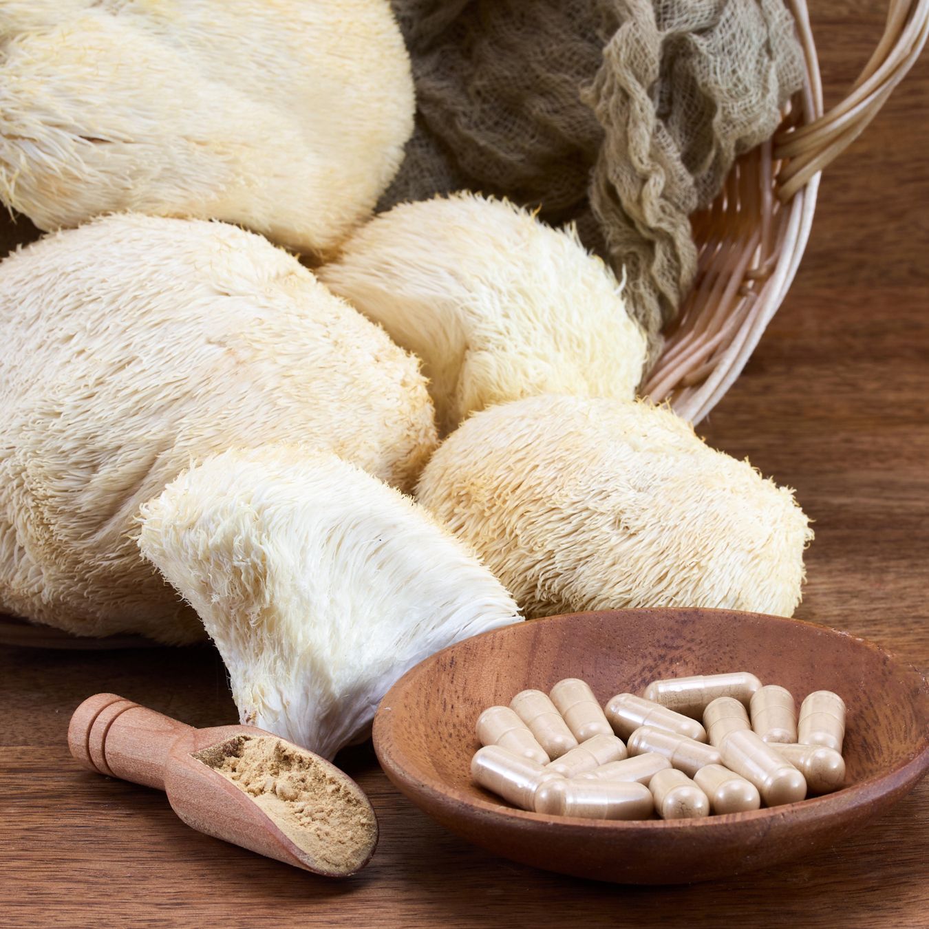 Liečivá sila húb: Reishi, Čaga, Shiitake a ďalšie