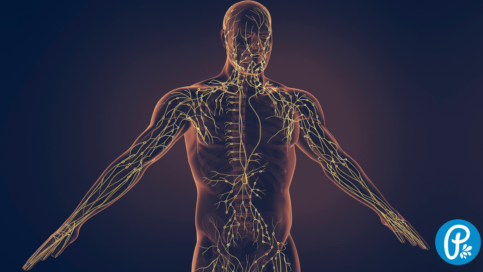 Lymfa - základ zdravia aj štíhlosti