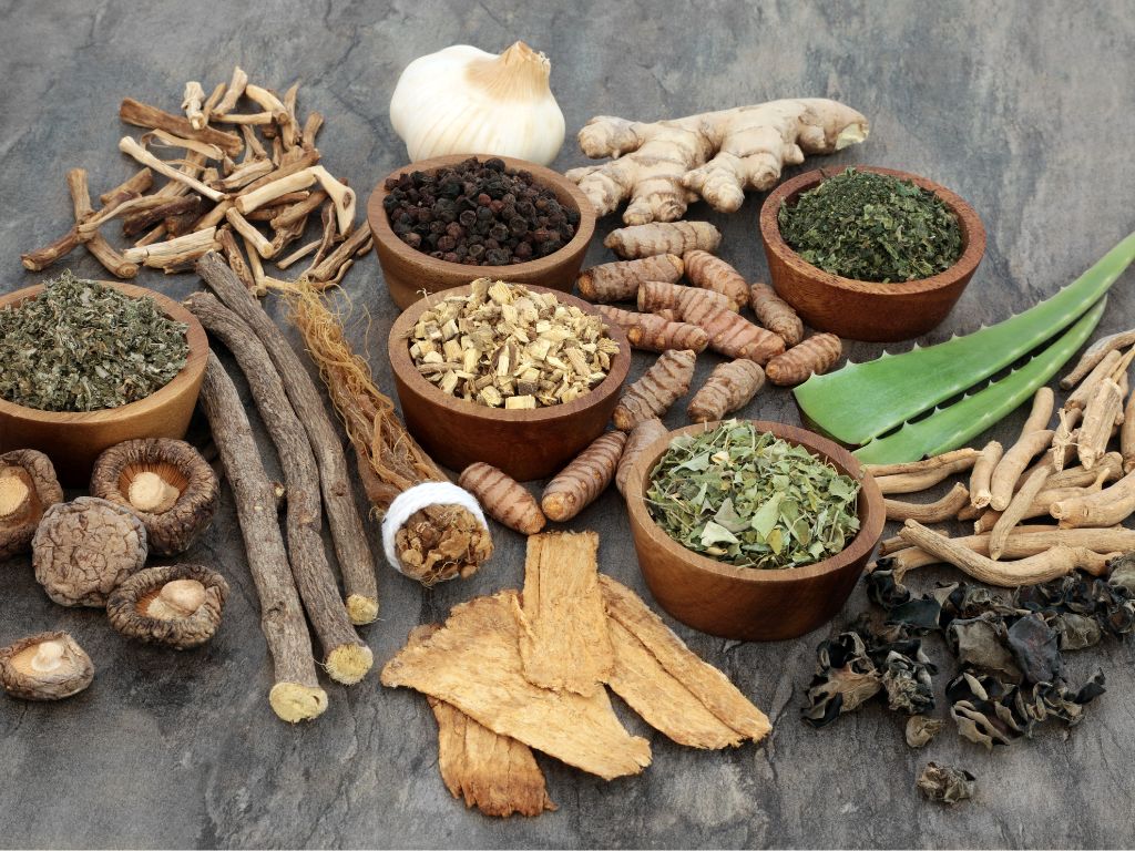 Tieto účinné bylinky si nazbierate u nás na Slovensku