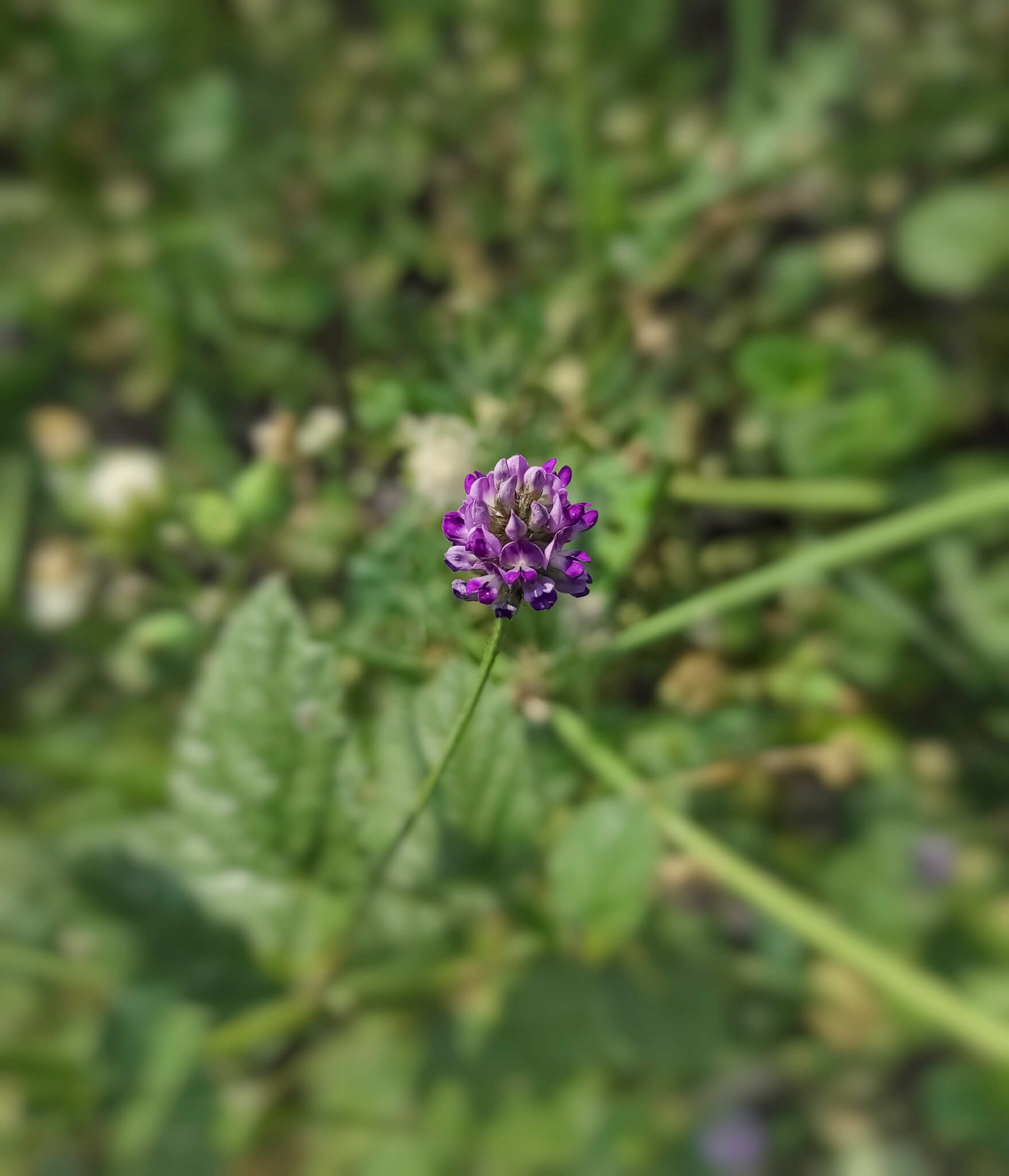 AdobeStock_490291210-2