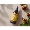 Tinktúra Pagaštan 100ml – bylina