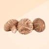 Shiitake