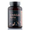 Sibirska čaga FORTE 60 veganskih kapsul (600mg/ kapsula)