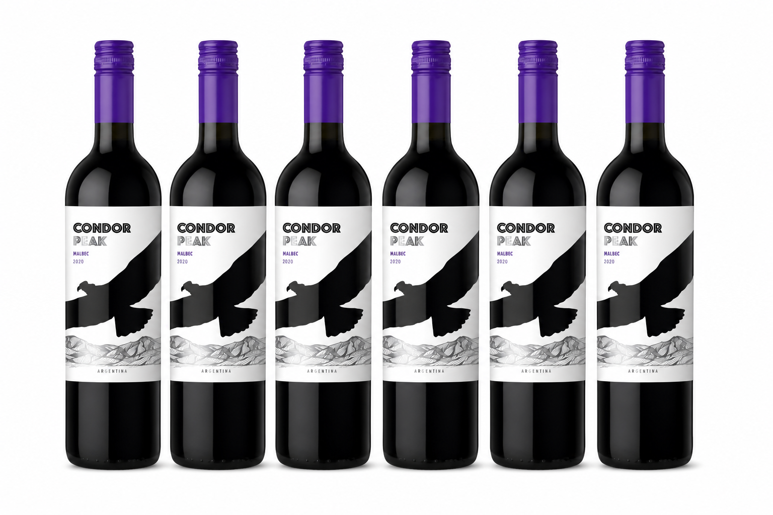 6x Andean Condor Peak Malbec 12,5% 0,75l