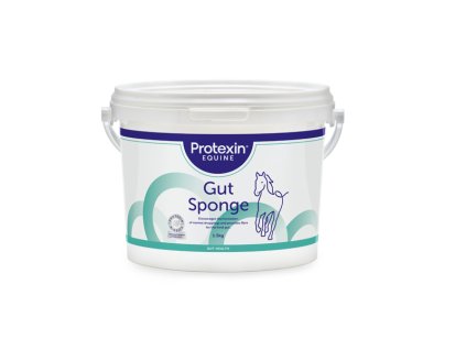 GUT SPONGE Front web