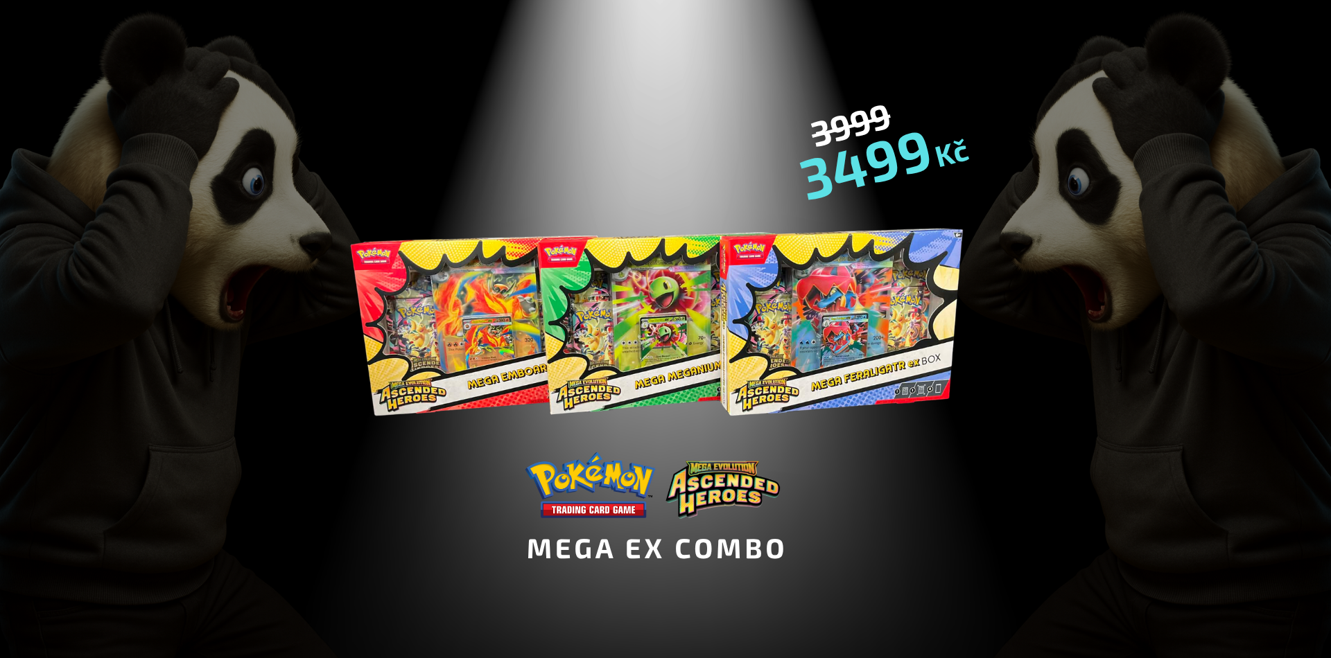 Mega Ex combo