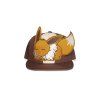 Pokémon snapback Eevee