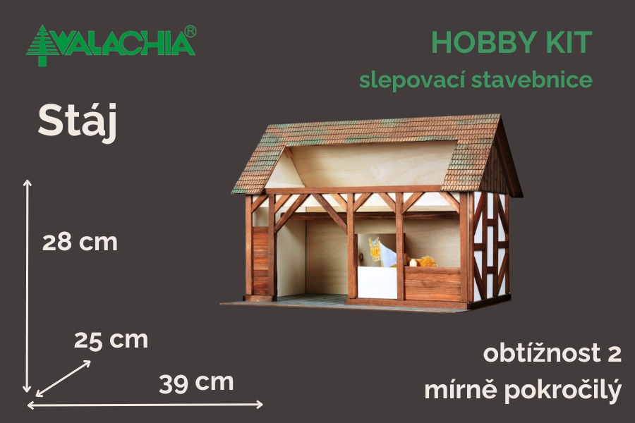 walachia-staj
